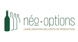 Création du logotype de Neo-Options par Kagency Nantes