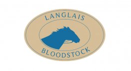 Kagency Nantes en charge de la création du site web de Langlais Bloodstock
