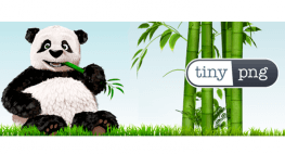 Réduire le poids de vos images de votre site avec Tinypng