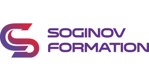 Témoignage de SOGINOV sur l'agence web Kagency Nantes