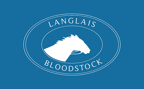Création du site web de Langlais Bloodstock Nantes | Kagency Création du site web de Langlais Bloodstock Nantes | Kagency