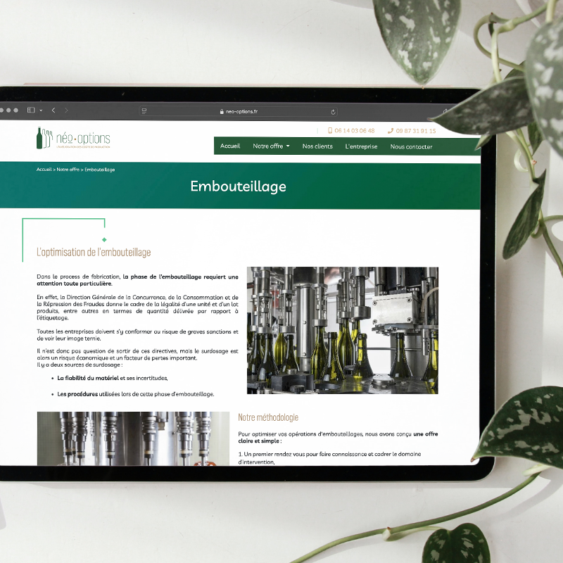 Témoignage de Néo-Options sur l'agence web Kagency Nantes