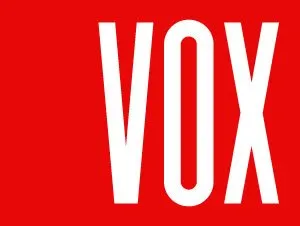 Logo VOX PROFILE