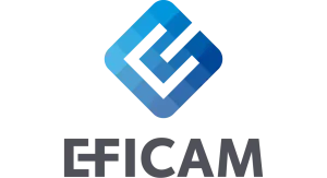 Avis d'EFICAM sur l'agence web Kagency Nantes Avis d'EFICAM sur l'agence web Kagency Nantes