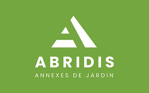 Campagne Google Ads pour Abridis